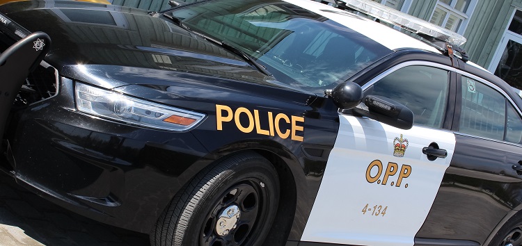OPP looking for man who tried to lure kids