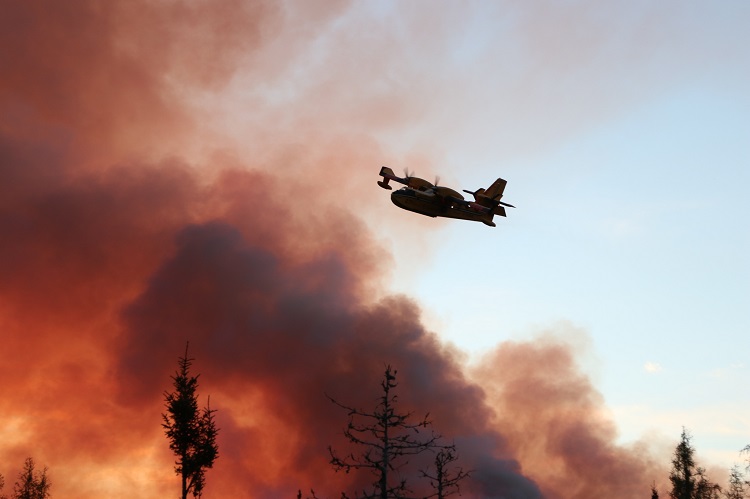 Coping with air that’s smoky because of forest fires