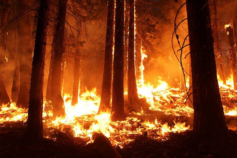 Kapuskasing taking in nearly 750 evacuees following forest fire