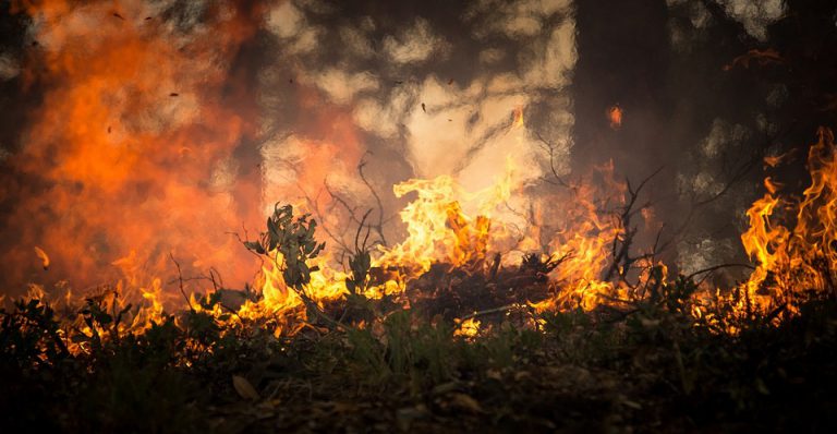 Wet, humid weather helps lower forest fire hazard in N.E. Ont.