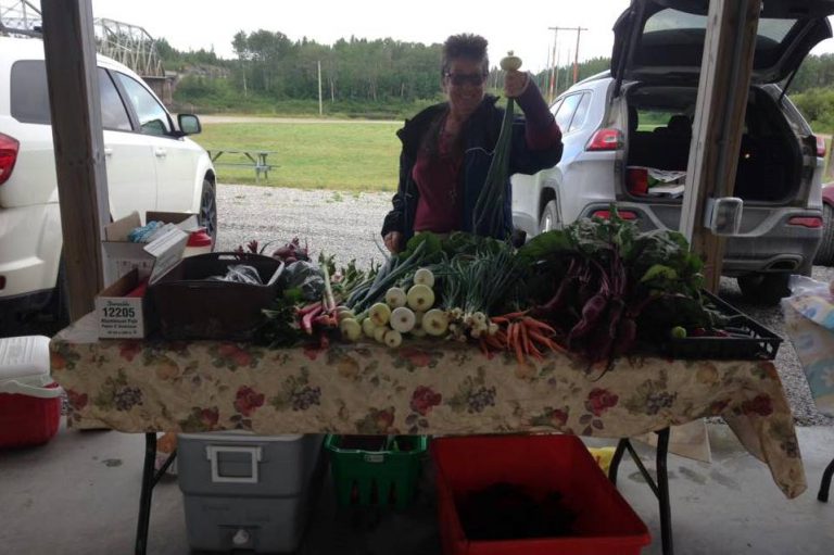 Fauquier farmers market opens Saturday