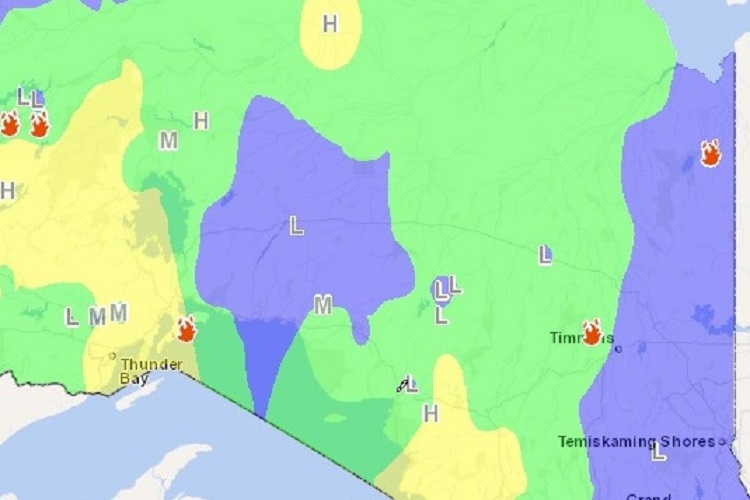 Forest fire hazard currently low to moderate