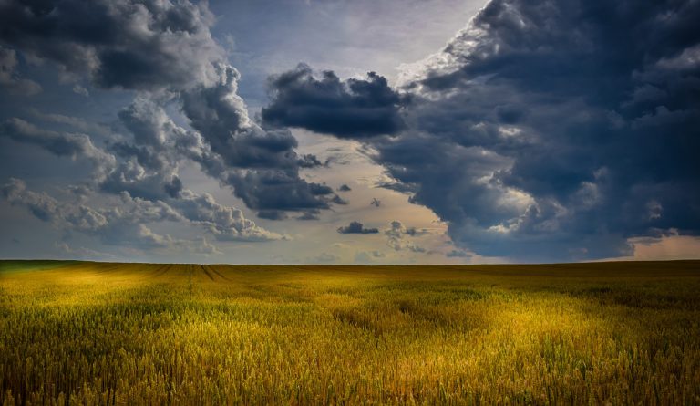 Studies slowing down start of Medical Marijuana Farm for Kapuskasing