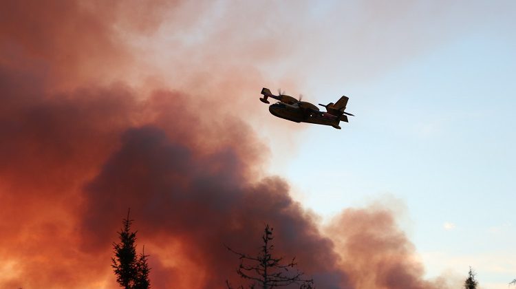 Fewer forest fires, more area burned