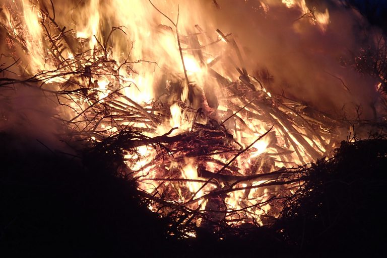 Hunters: Watch Out For Fire Rangers