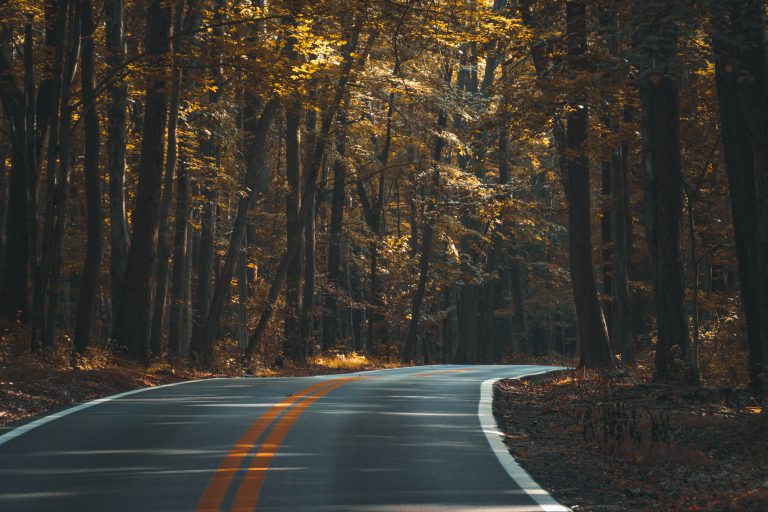 Road Report – October 10