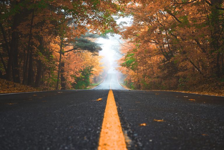 Road Report For – October 8