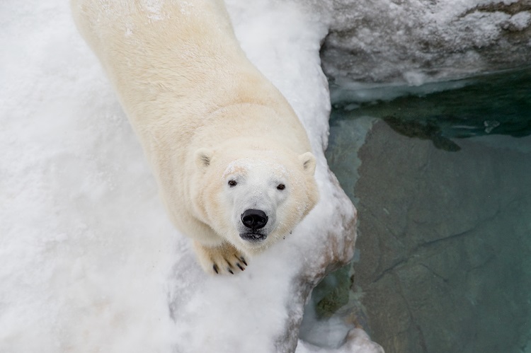 Habitat closure announcement took board ‘a little bit by surprise’