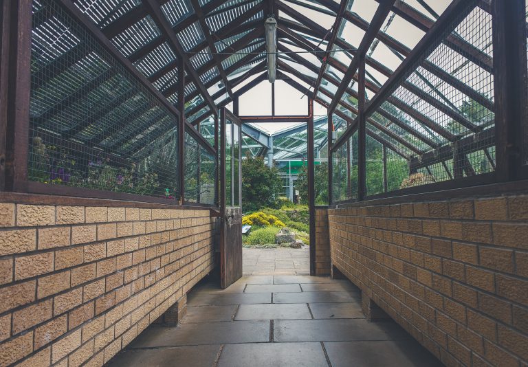 Medical Cannabis growing facility coming to Val Rita-Harty