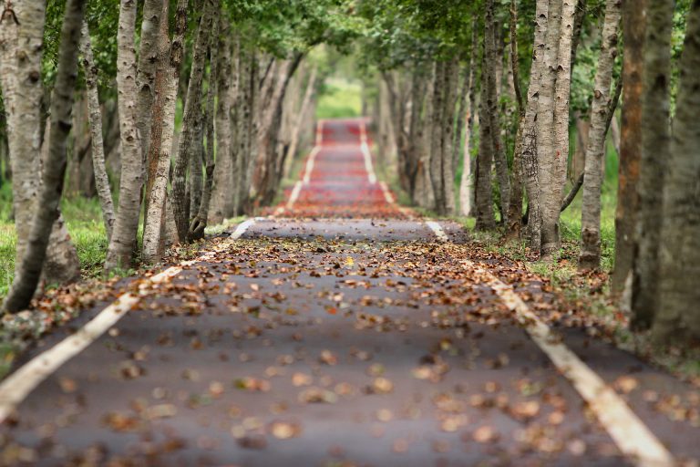 Road Report – November 1 – the weekend