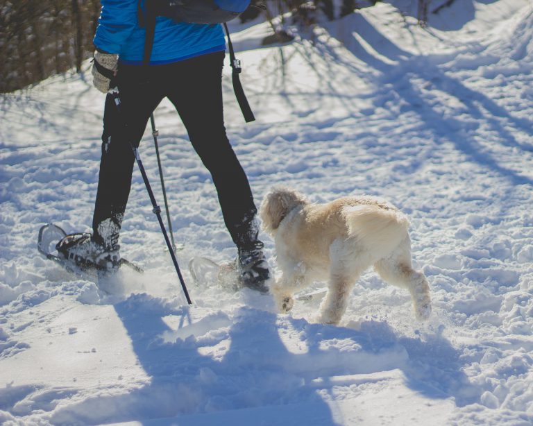 Health and Wellness Day at Nordic Ski Club February 8