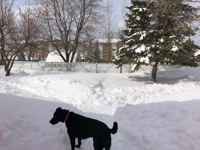 Environment Canada says 39.5 cm of snow fell on Easter Monday in Kapuskasing