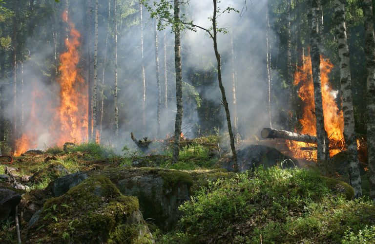 Evacuees arrive in Kapuskasing and in Timmins