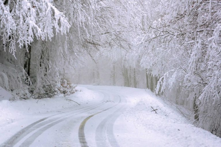 Road Report – January 12