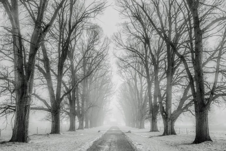 Road Report – Jan. 14