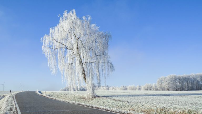 Road Report – January 22