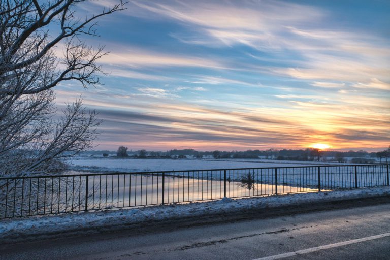 Buses and Road Report – Feb 25