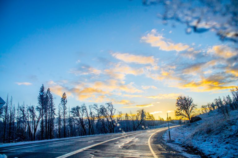 Buses and Road Report — March 16