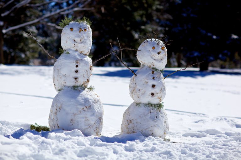New contest wants your family to build a snowman