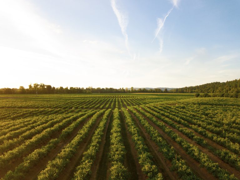 Town of Kap won’t financially contribute to Great Claybelt Ag Business Plan Project