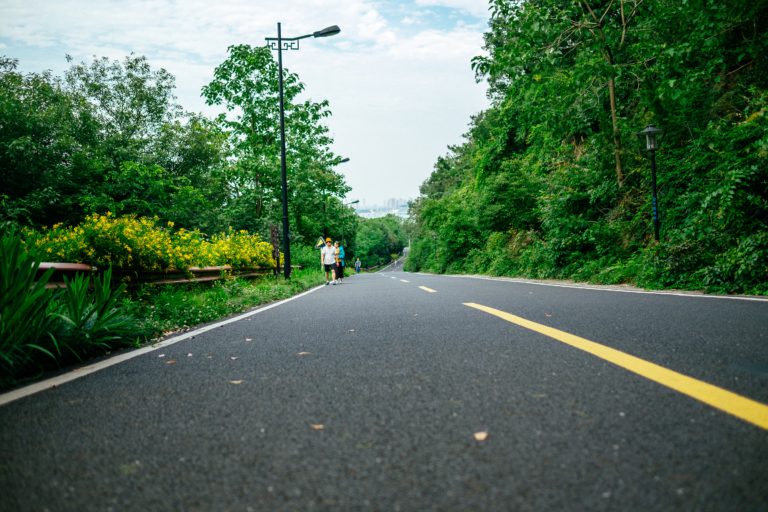 Buses and Roads – March 30