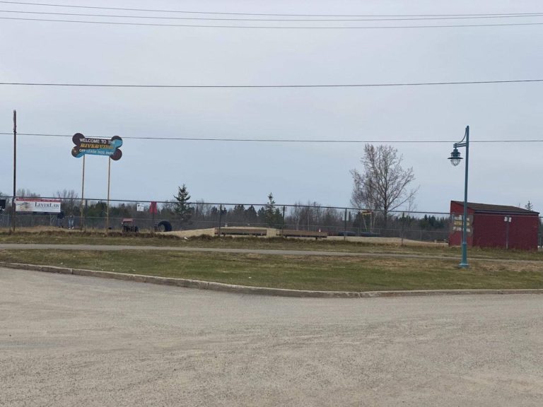 Kap Town Council to study a dog park at Val Albert Ball Park