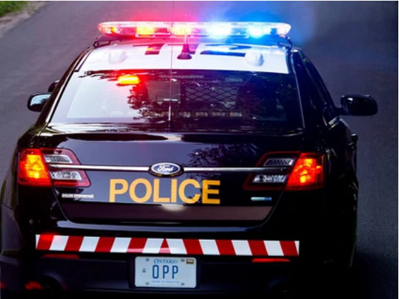 Southern Ontario man up on several charges after attempted break-in