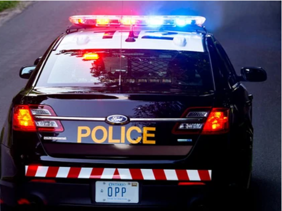 OPP accepting applications for cadet program