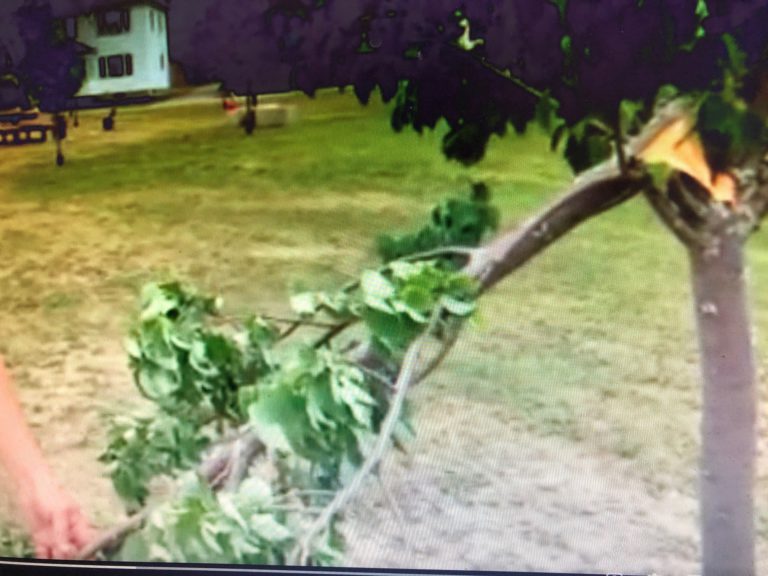 Vandalism strikes several areas in Kapuskasing