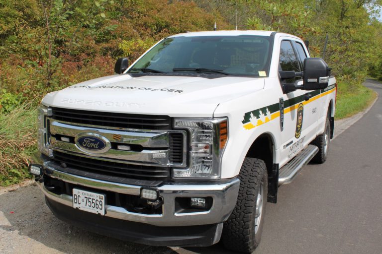 Two hunters fined and plead guilty to illegal moose hunting