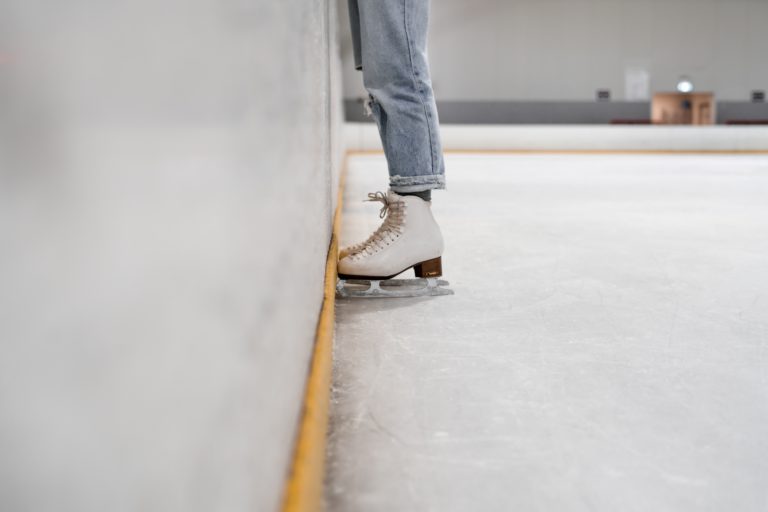Free Public Skating at The Sports Palace next week