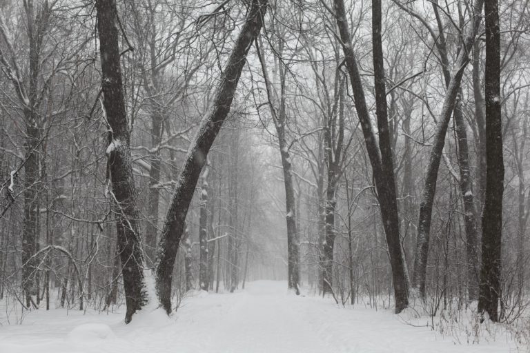 Road Report – January 25