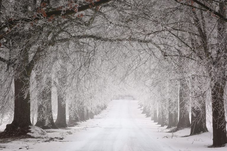 Road Report — January 28