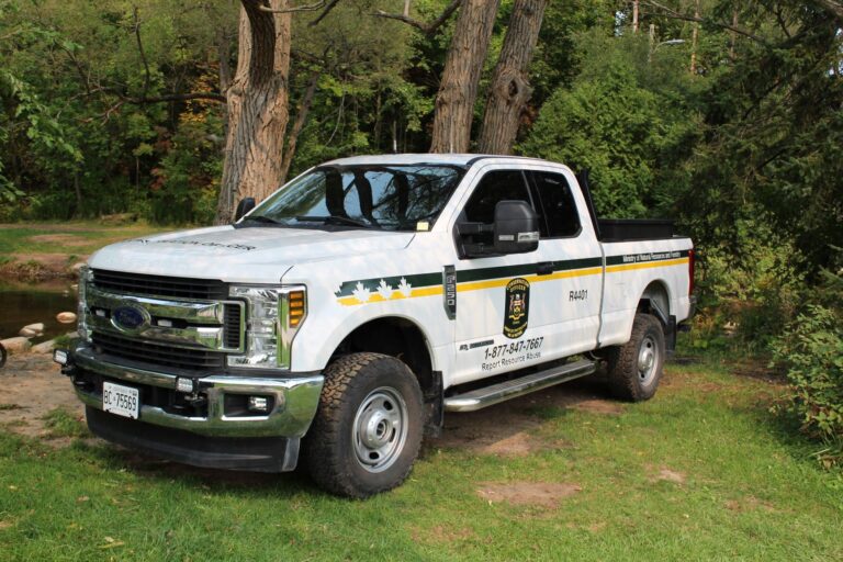 Two Kapuskasing and Area anglers fined heavily, face suspensions for illegal fishing