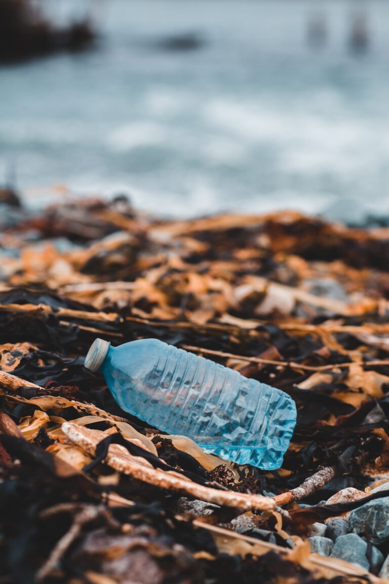 Spring clean-up is back in Kap starting next weekend