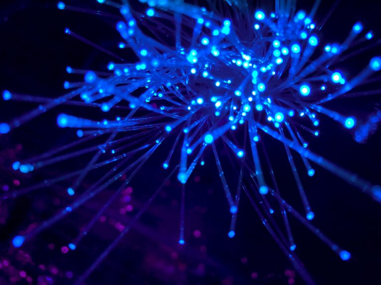 Exolink CEO says federal government delaying wireless internet for rural residents