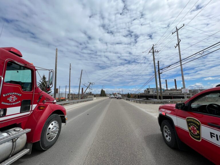 Damaged hydro pole blamed for power outage on Friday