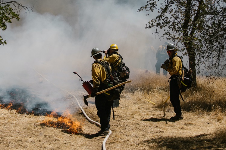 Travel restricted in forest fire zone