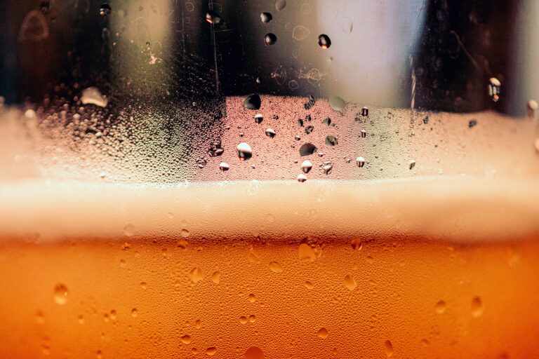Festibiere kicks off Friday night in Kap, Rosewood Avenue hits stage Saturday