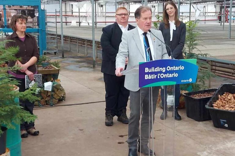 Forestry biomass projects get $60-million over three years from provincial government fund