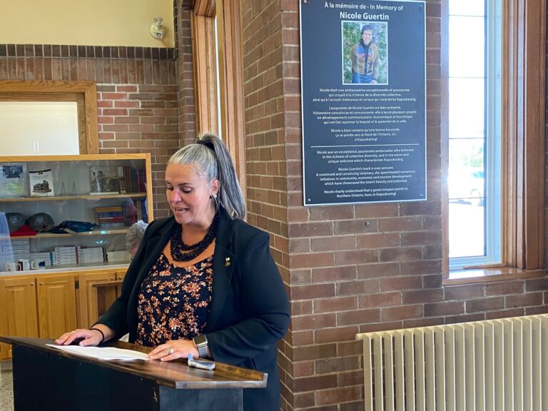 Kap Town councillor Guylaine Scherer steps down