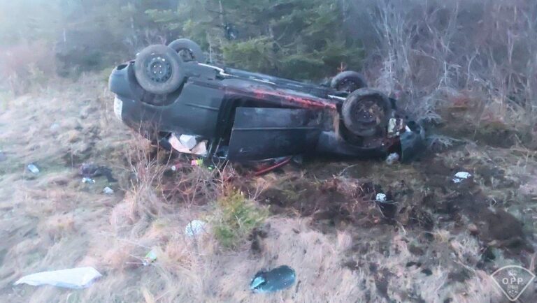Car flips over, driver charged