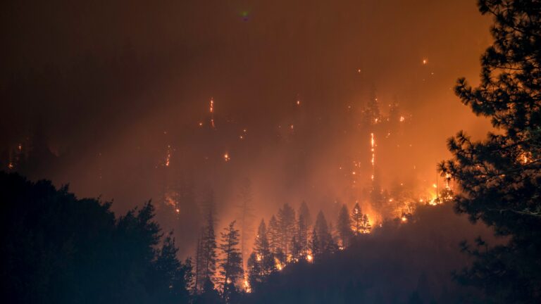 Bourgouin calls forest firefighters added to WSIB a good first step