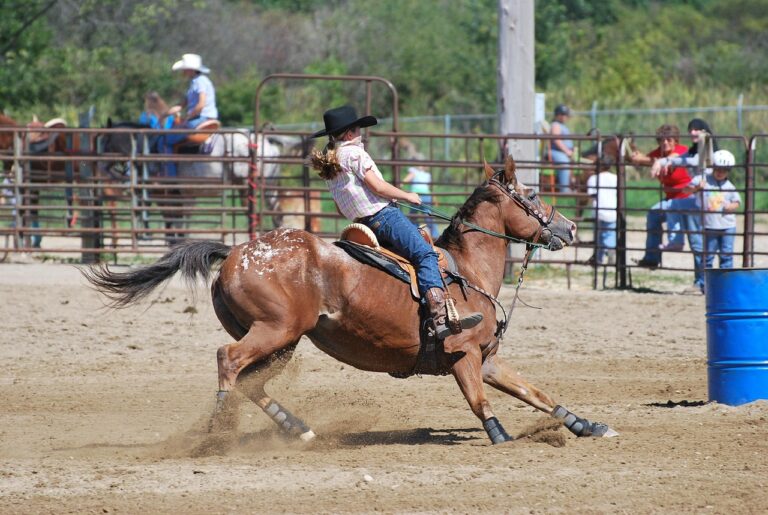 Western gaming show in Cochrane July 27, 28