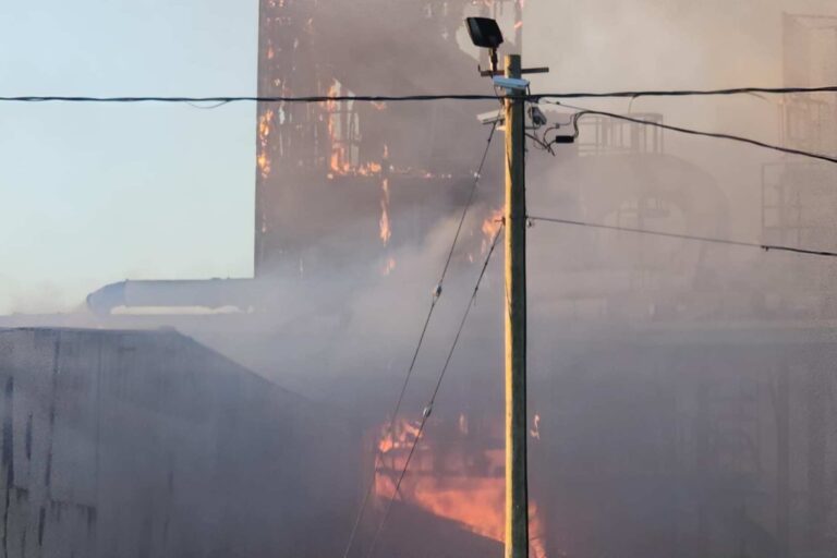 Cochrane’s Rockshield plywood plant could be down six months following Friday’s fire