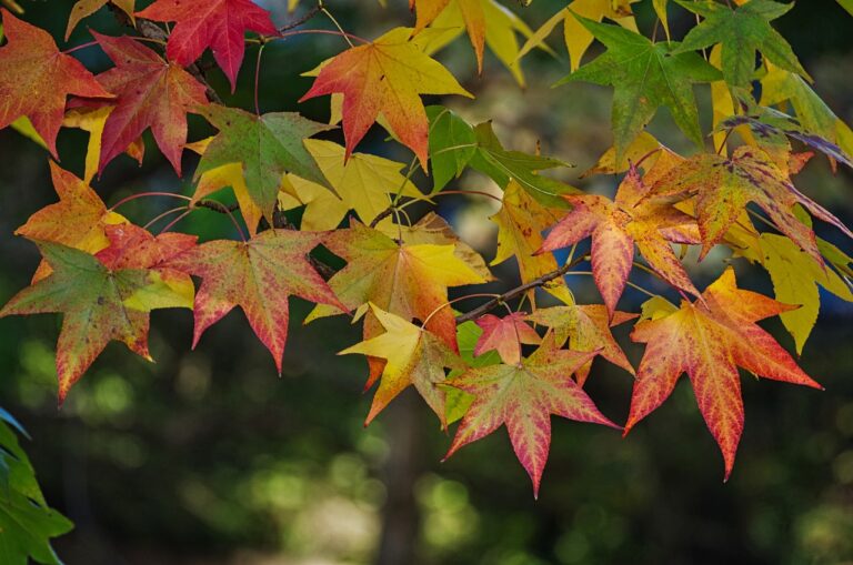 Environment Canada confirms it was a warmer than usual September in our region