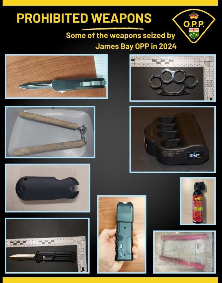 Several weapons seized by OPP in 2024