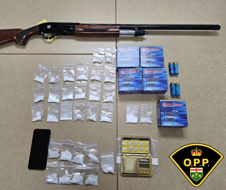 OPP seize drugs and a gun in Hearst